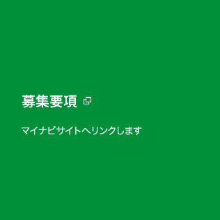 募集要項 マイナビサイト